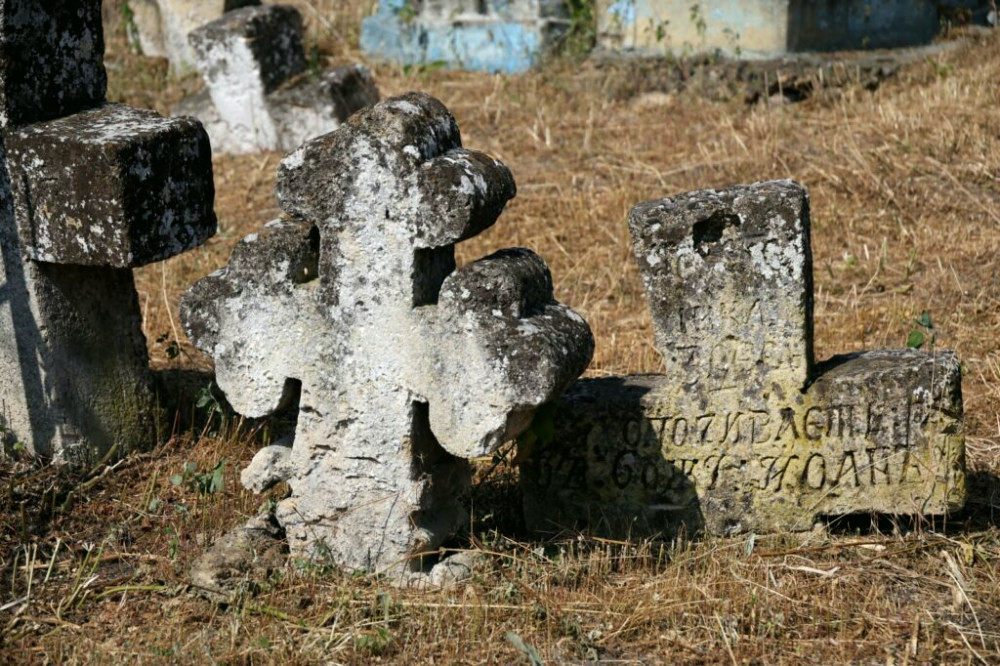 12547 image for slide