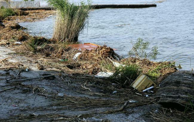16267 image for slide