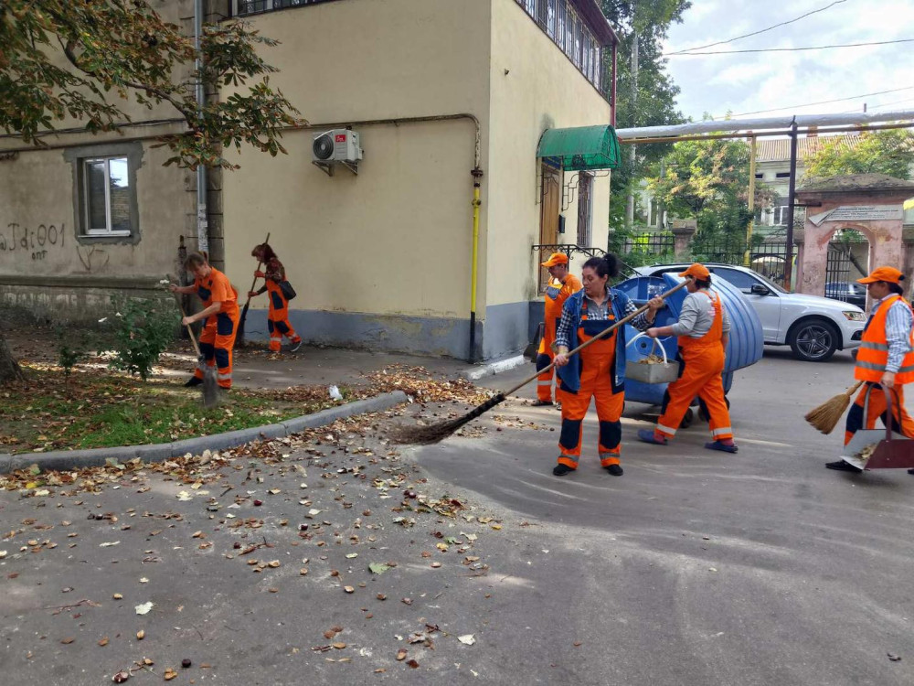 8751 image for slide